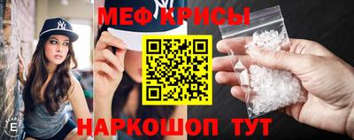 крисы Моздок