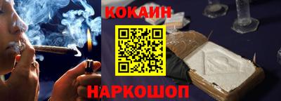 крисы Моздок