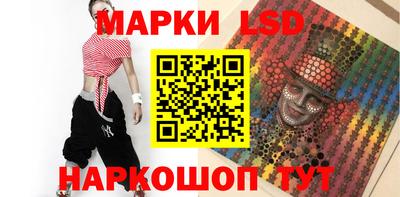 крисы Моздок
