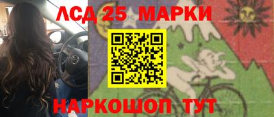 крисы Моздок