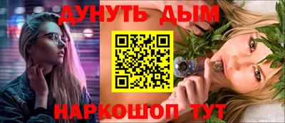 крисы Моздок