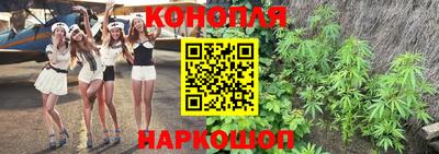 крисы Моздок