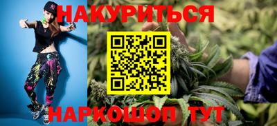крисы Моздок