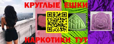 крисы Моздок
