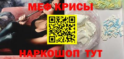 крисы Моздок
