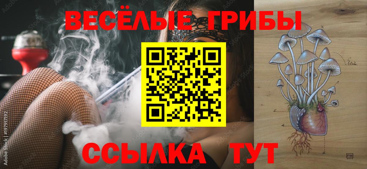 Псилоцибиновые грибы прущие грибы Ангарск